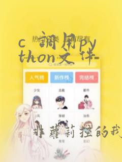 c  调用python文件