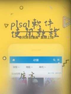 plsql软件使用教程