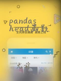 pandas head函数