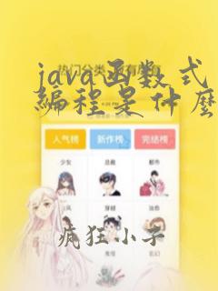 java函数式编程是什么