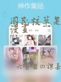 java functionalinterface免费阅读