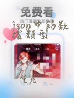 json中的数据类型