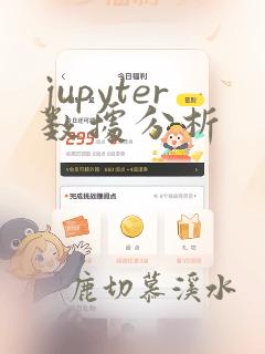 jupyter数据分析