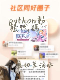 python动态代码