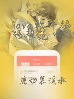 java软件编码规范
