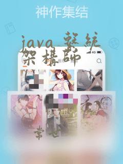 java 系统架构师