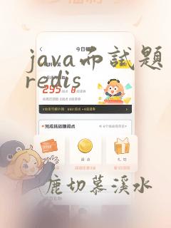 java面试题redis