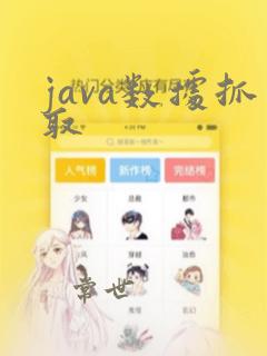 java数据抓取