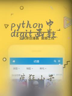 python中digit函数