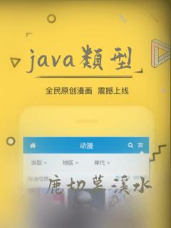 java类型