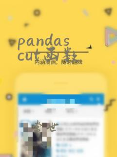 pandas cut函数