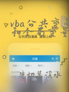 vba公共变量和全局变量