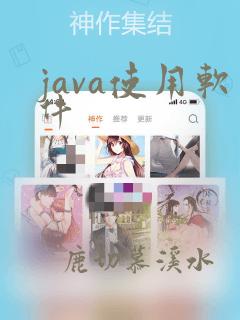 java使用软件
