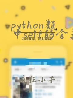 python类中self的含义