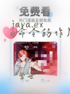 java.exe命令的作用是