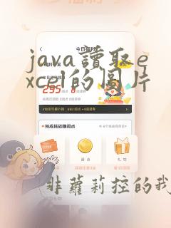 java读取excel的图片