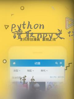 python 读取npy文件