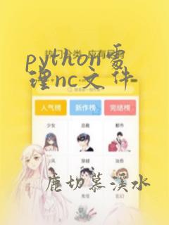 python处理nc文件