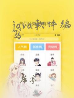 java软件编写