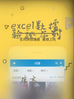 excel数据验证序列