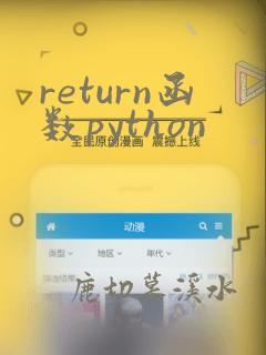 return函数python