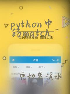 python中的match