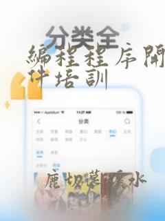 编程程序开发软件培训