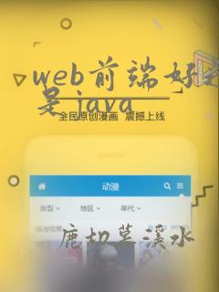 web前端好还是java