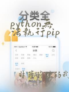 python无法执行pip