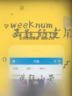 weeknum函数的使用方法及实例