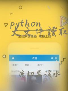 python 大文件读取