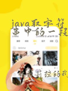 java取字符串中的一段