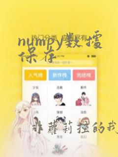 numpy数据保存