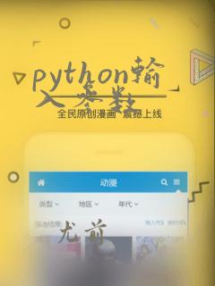 python输入参数
