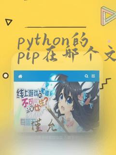 python的pip在哪个文件夹下
