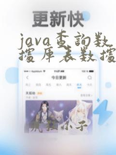java查询数据库表数据量很大