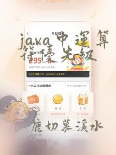 java中运算符优先级