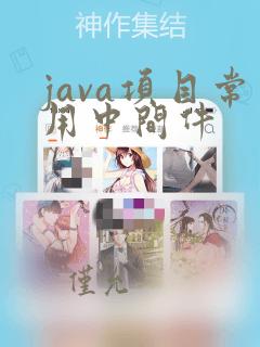 java项目常用中间件