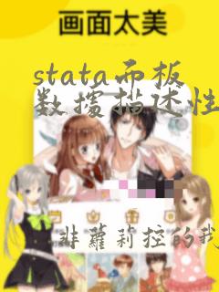 stata面板数据描述性统计命令