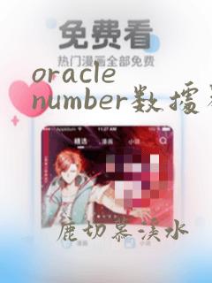 oracle number数据类型