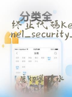 终止代码kernel_security_check_failure