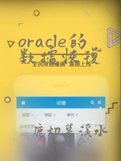 oracle的数据恢复