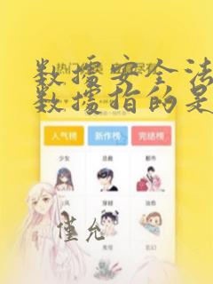 数据安全法中的数据指的是