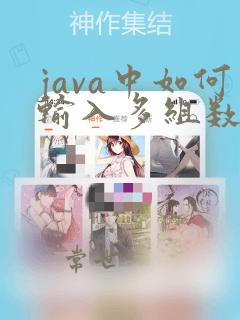 java中如何输入多组数据