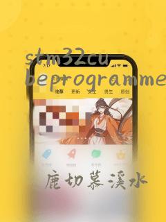 stm32cubeprogrammer安装教程