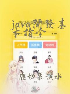 java开发基本指令
