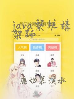 java系统构架师