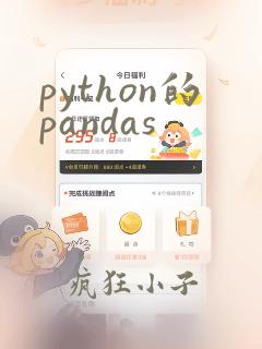 python的pandas