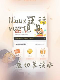 linux运行vue项目