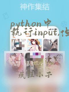 python中执行input,但没让输入数据